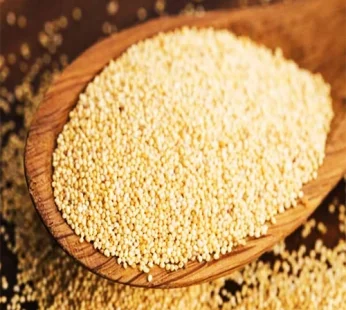 Poppy Seeds (পোস্তদানা)-Per Kg