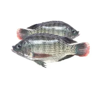 Telapia